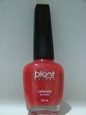Esmalte Blant Colors CALIANDRA
